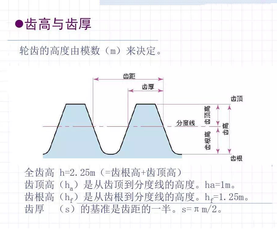 齿轮的齿高与齿厚